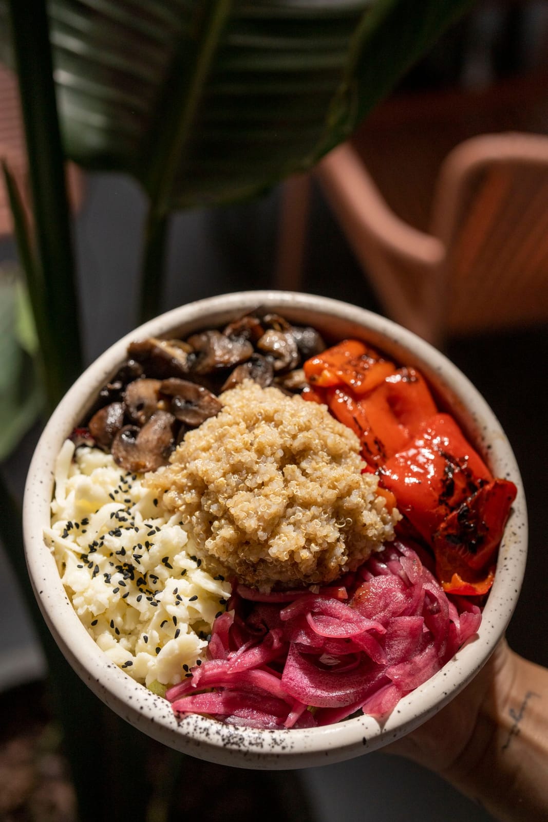 Roasted Blue Oyster Grain Bowl — gourmet mushroom recipe from Hoplite Farm